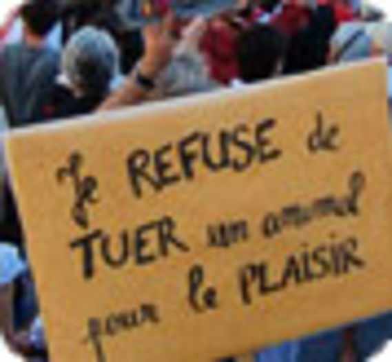 Nîmes : 3 000 personnes dans la rue contre la tauromachie