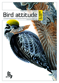 Bird attitude