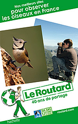 Nos meilleurs sites pour observer les oiseaux en France