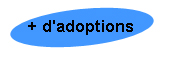 Voir tous les animaux  l'adoption