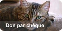Faites un don