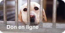 Faites un don