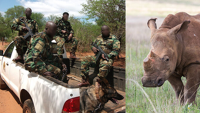Les rangers, les anges gardiens de la faune africaine