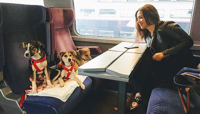 Les « anges du Rail » accompagnent des animaux abandonnés vers leur famille d'adoption. Une initiative à partager !