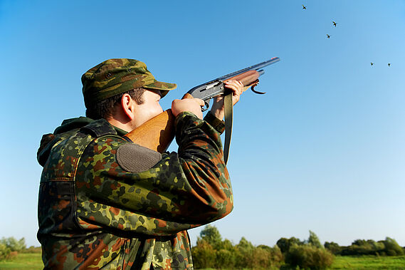 Non à la chasse le dimanche !