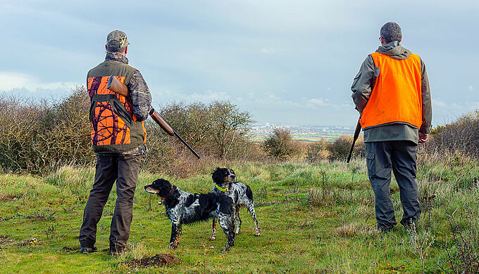 La faune sauvage, cible des chasseurs… même l’été !