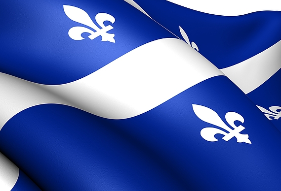 Modification du statut juridique de l’animal : le Québec aussi !