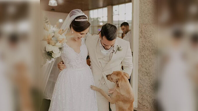 Emouvant ! Un chien errant s’invite à leur mariage, le couple l’adopte
