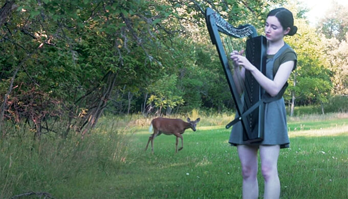 Incroyable ! Une biche sous le charme d'une harpe