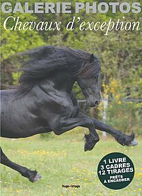 Ma galerie de photos Chevaux