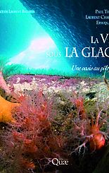 La vie sous la glace ?