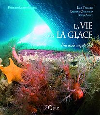 La vie sous la glace ?