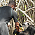 Ils sont nourris 2 fois par jour par le personnel du refuge. © Help Congo 