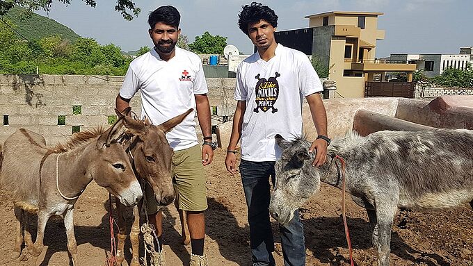 Abandonné en raison de sa vieillesse, un âne blessé secouru à Islamabad