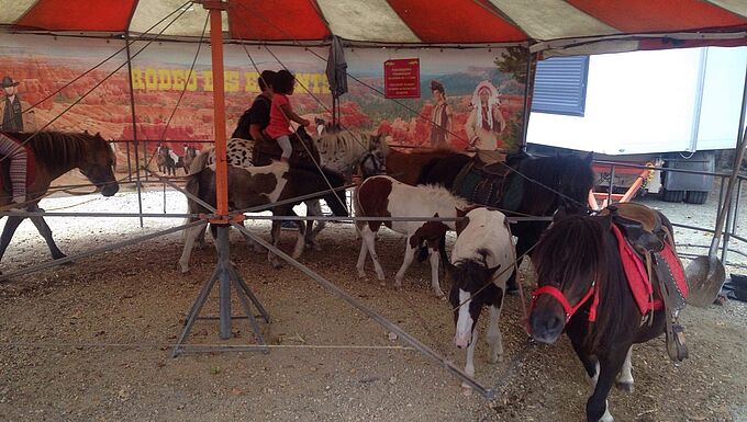 La France aussi utilise des poneys vivants pour faire tourner ses manèges ! 