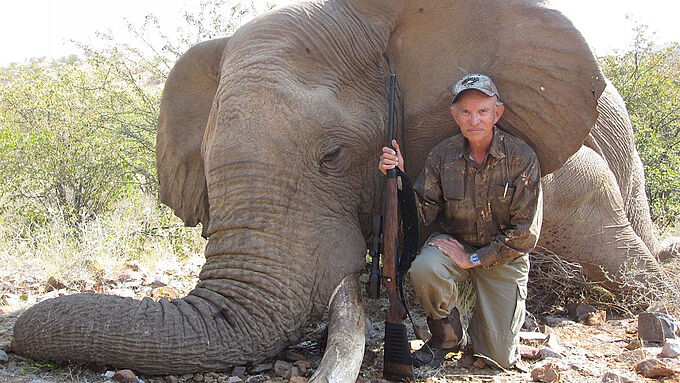 La chasse aux éléphants, nécessaire pour « réguler » les populations animales ? Des spécialistes démentent