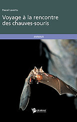 Voyage à la rencontre des chauves-souris