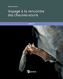 Voyage à la rencontre des chauves-souris