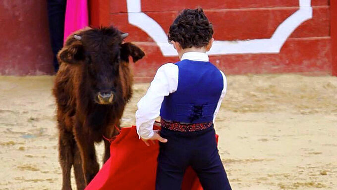 Protéger les enfants contre les violences faites aux animaux 