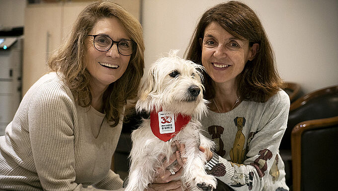 Des chiens visiteurs réchauffent le cœur des personnes isolées