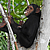 Les chimpanzés passent presque la moitié de leur temps à se nourrir. © Help Congo