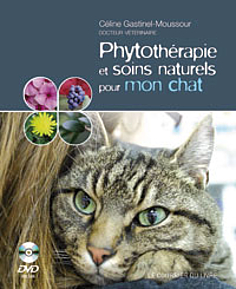 Phytothérapie et soins naturels pour mon chat