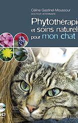 Phytothérapie et soins naturels pour mon chat