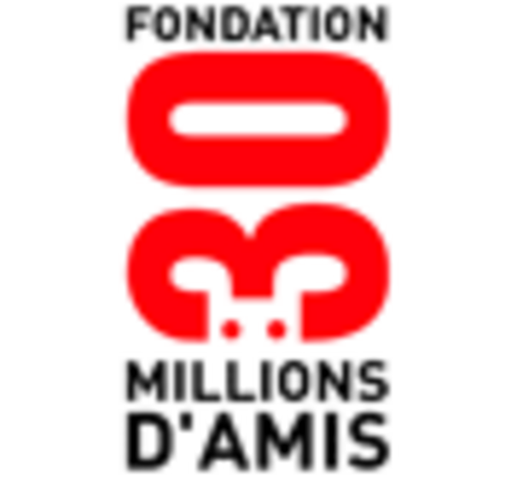 logo fondation