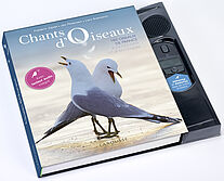 Chants d'oiseaux