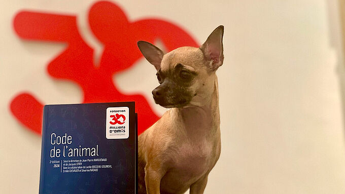 La Fondation 30 Millions d’Amis dote les 280 gendarmeries et commissariats centraux de l’édition 2024 du Code de l’animal