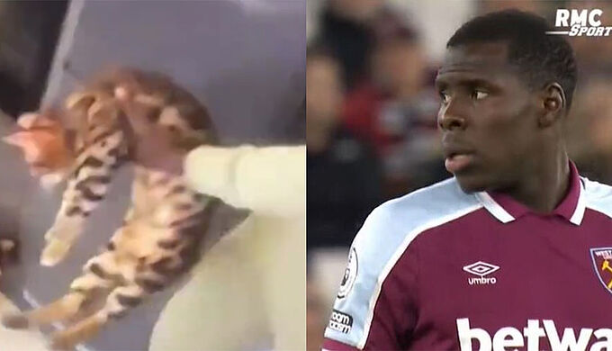 Après avoir frappé son chat, le footballeur Kurt Zouma condamné à des travaux d’intérêt général 