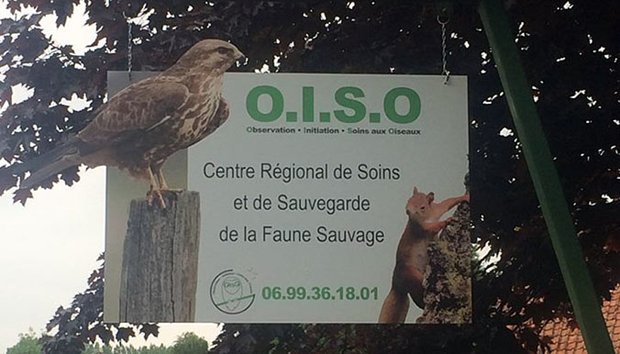 Le centre OISO ne peut plus accueillir d'animaux... © OISO