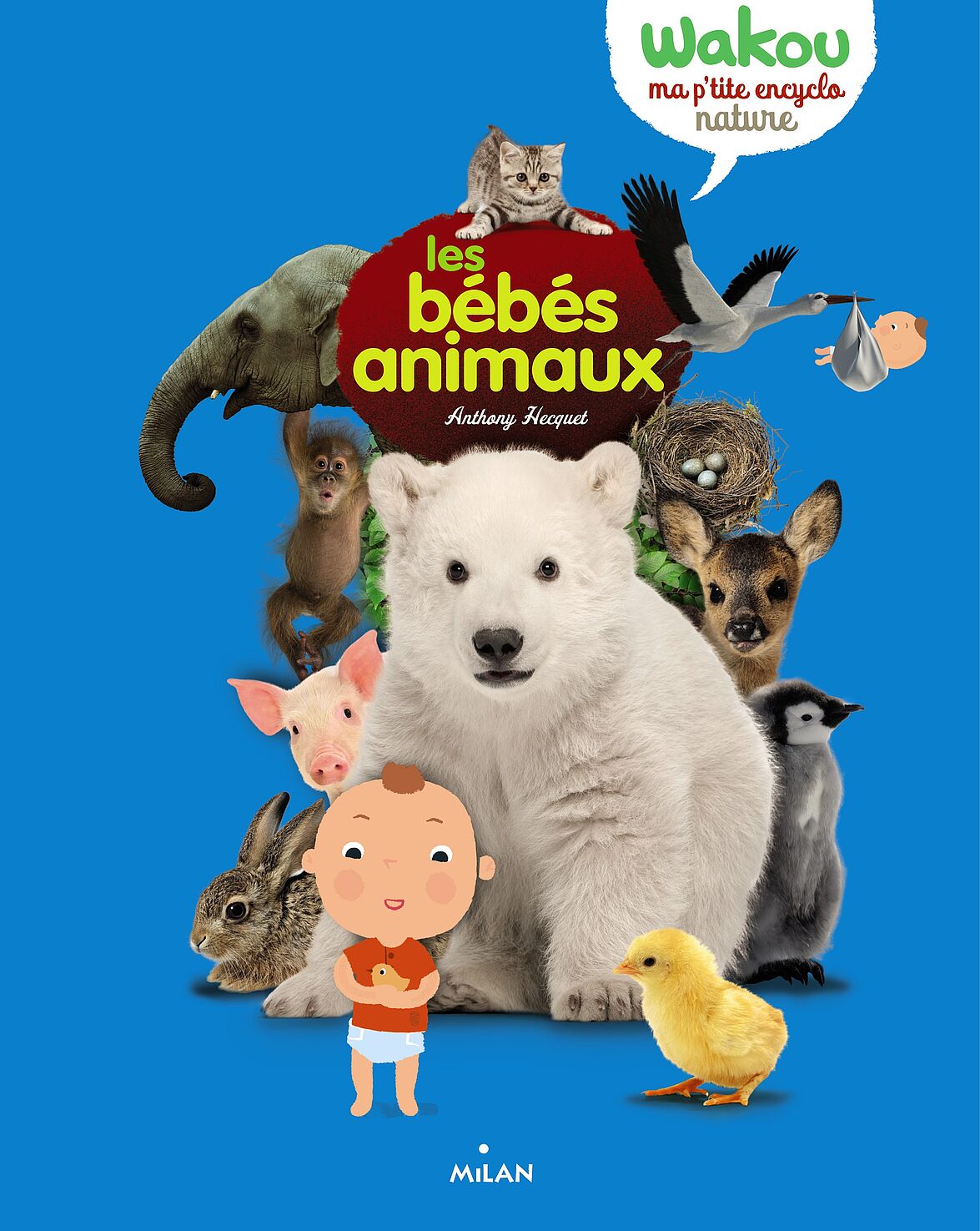 Wakou, ma p'tite encyclo : les bébés animaux