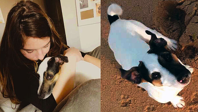 Témoignage poignant du maître du chien mort à coups de batte de baseball