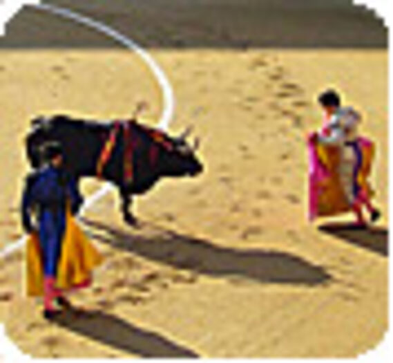 Mobilisation anti-corrida (Vidéo)