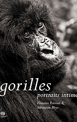 Gorilles, portraits intimes