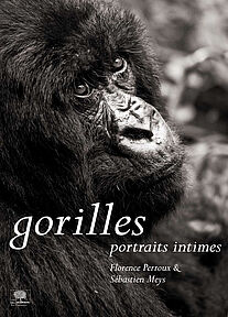 Gorilles, portraits intimes