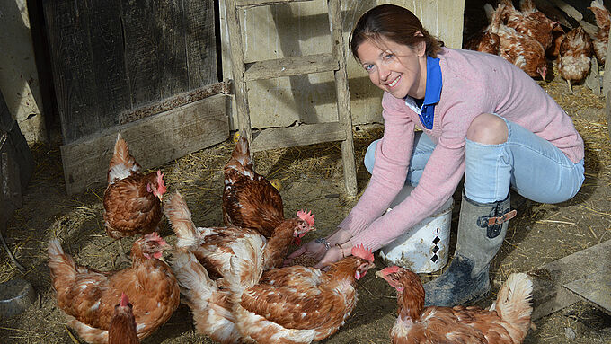 Sauver des poules de l’abattoir en les faisant adopter, une initiative à partager !