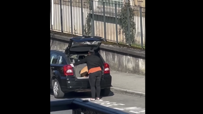 Filmée en train de frapper son chien dans le coffre de sa voiture, elle a été condamnée par la Justice