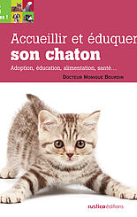 Accueillir et éduquer son chaton