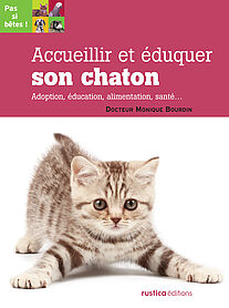 Accueillir et éduquer son chaton