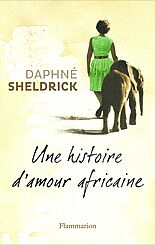 Une histoire d'amour africaine