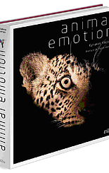 Animal emotion