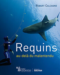 Requins, au-delà du malentendu
