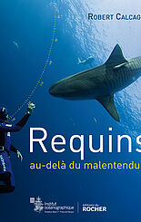 Requins, au-delà du malentendu