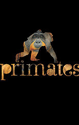 Primates