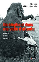 Un éléphant dans ma salle d'attente