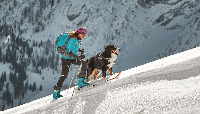 Vacances d’hiver : nos conseils pour emmener son animal à la neige
