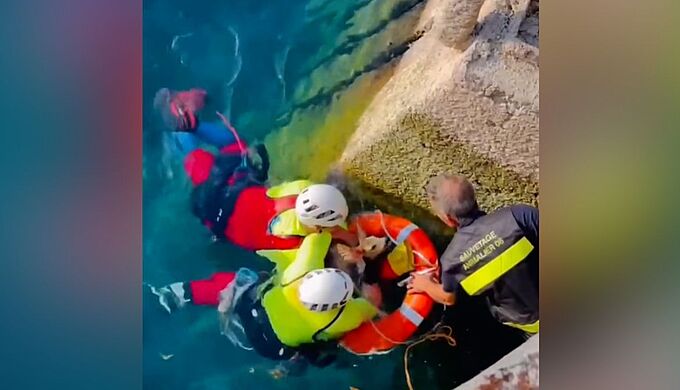 Les pompiers sauvent une biche dans un bassin d’eau (vidéo)