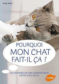 Pourquoi mon chat fait-il ça ?